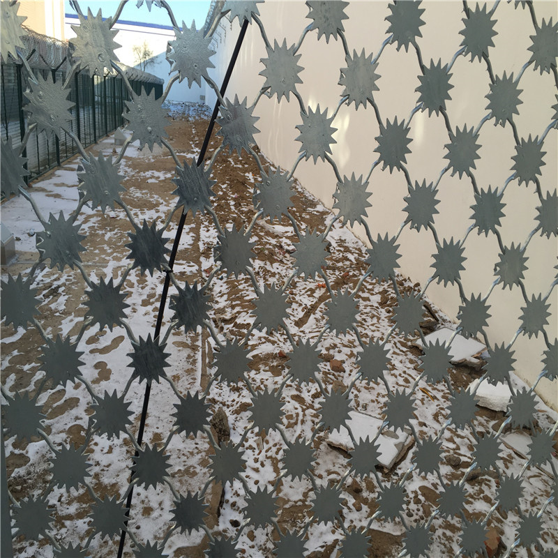 梅花刺片隔離網圖片1 梅花刺片隔離網圖片1