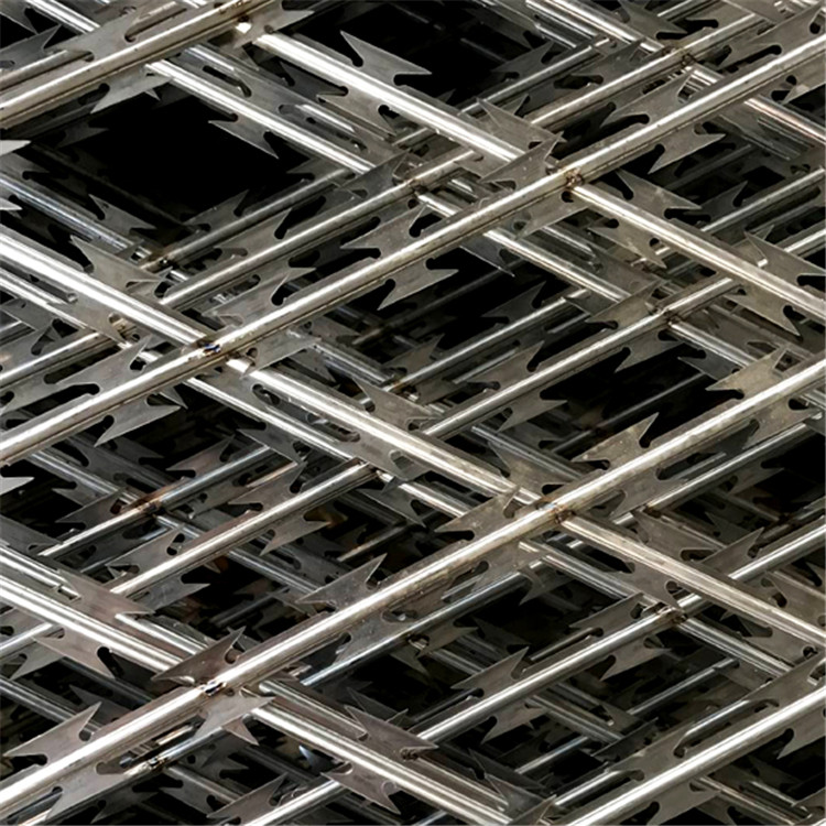 監(jiān)獄菱形孔隔離網(wǎng)圖片4 監(jiān)獄菱形孔隔離網(wǎng)圖片4