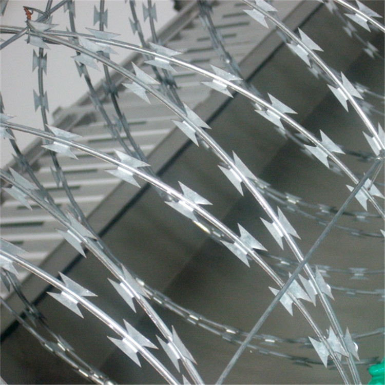 監獄刀刺網圖片2 監獄刀刺網圖片2