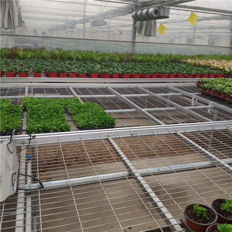 苗床網(wǎng)片圖片4 苗床網(wǎng)片圖片4