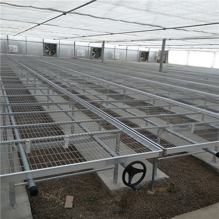 溫室苗圃網圖片2 溫室苗圃網圖片2