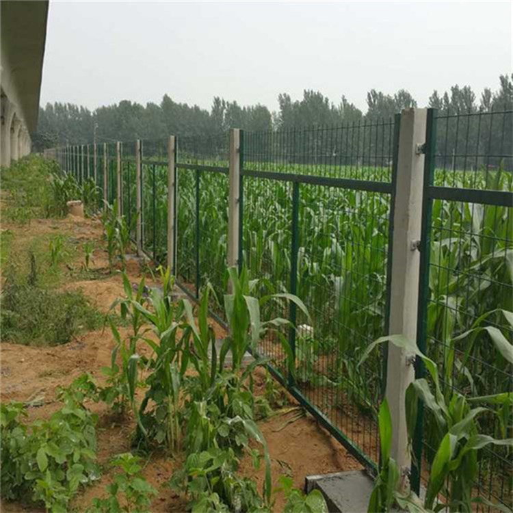 通線2012(8002)圖片3 通線2012(8002)圖片3