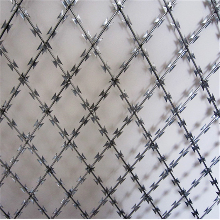 加高刀刺網鋼網墻圖片1 加高刀刺網鋼網墻圖片1