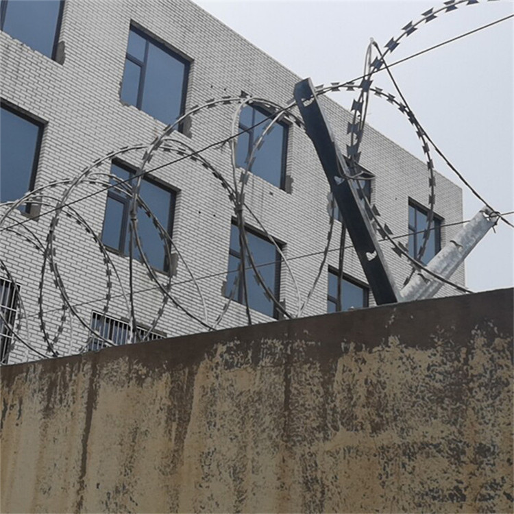 刀片刺網圖片3 刀片刺網圖片3