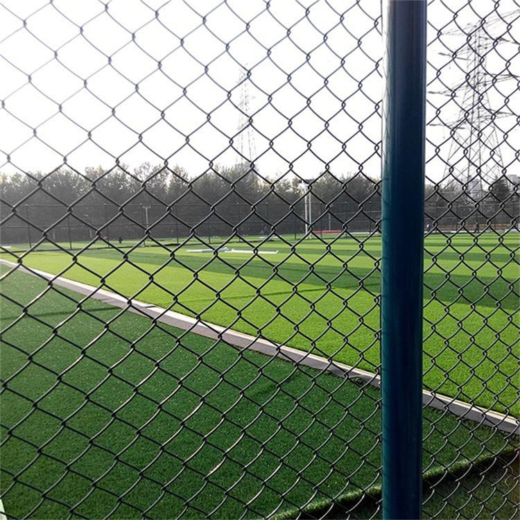 羽毛球場圍網圖片4 羽毛球場圍網圖片4