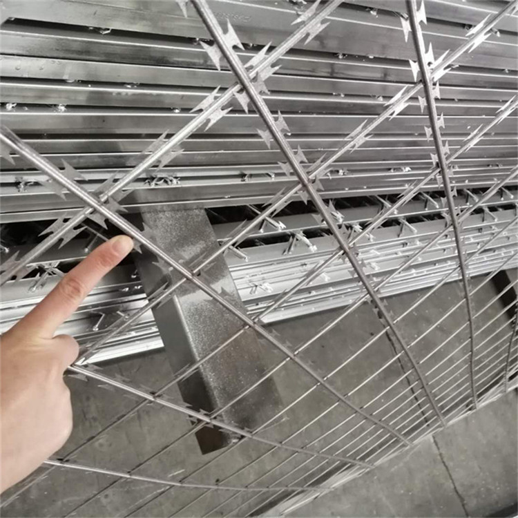 看守所倒刺網圖片3 看守所倒刺網圖片3