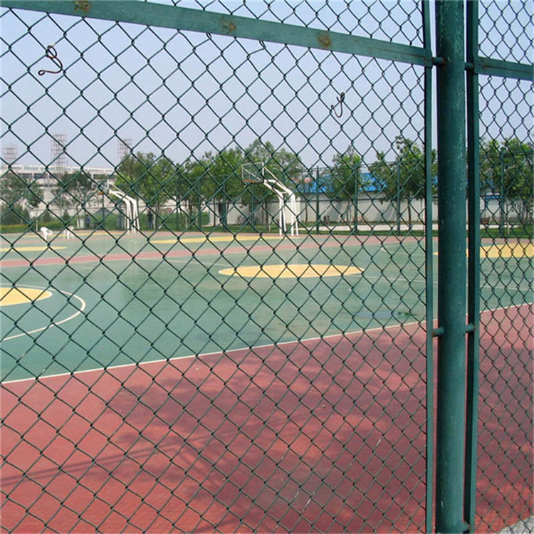 運(yùn)動健身中心綠色鋼絲網(wǎng)圖片2 運(yùn)動健身中心綠色鋼絲網(wǎng)圖片2