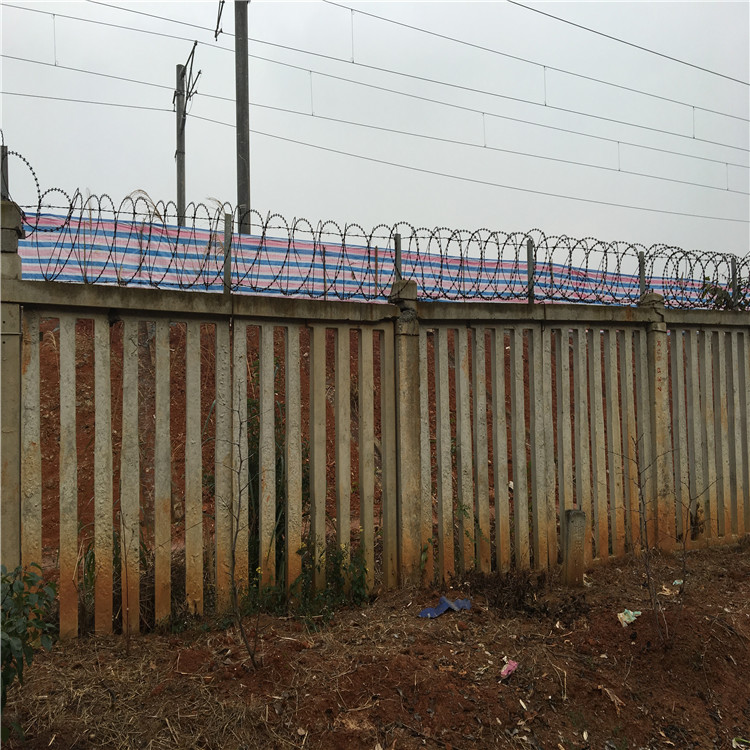 鍍鋅滾刀網圖片2